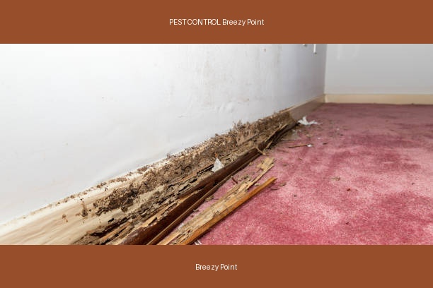 PEST CONTROL Breezy Point